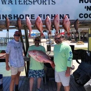 Meet your Posher, Austin